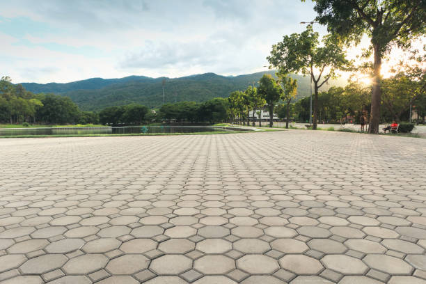 Best Driveway Pavers Near Me  in Raceland, KY